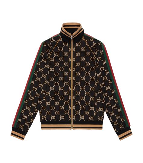 gucci belted logo jacket|yellow Lambo with Gucci logo.